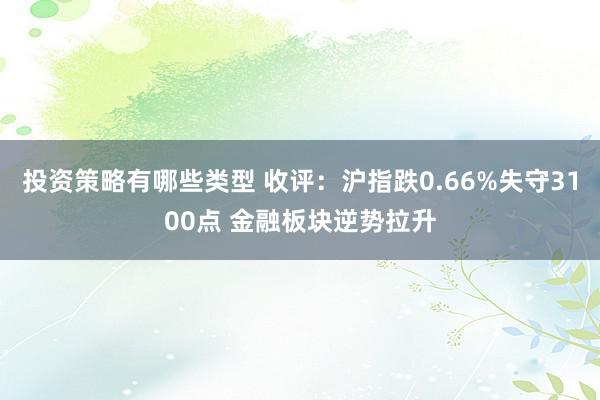 投资策略有哪些类型 收评：沪指跌0.66%失守3100点 金融板块逆势拉升