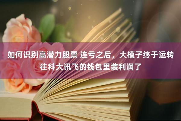 如何识别高潜力股票 连亏之后，大模子终于运转往科大讯飞的钱包里装利润了