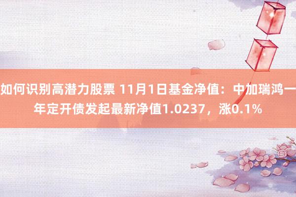 如何识别高潜力股票 11月1日基金净值：中加瑞鸿一年定开债发起最新净值1.0237，涨0.1%