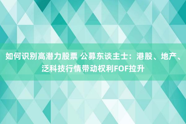 如何识别高潜力股票 公募东谈主士：港股、地产、泛科技行情带动权利FOF拉升