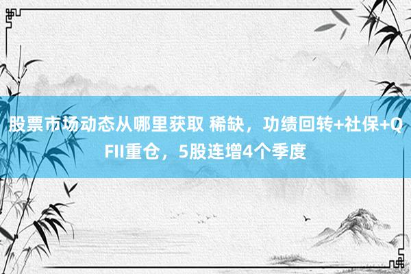 股票市场动态从哪里获取 稀缺，功绩回转+社保+QFII重仓，5股连增4个季度