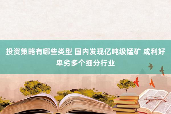 投资策略有哪些类型 国内发现亿吨级锰矿 或利好卑劣多个细分行业