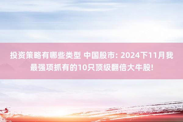 投资策略有哪些类型 中国股市: 2024下11月我最强项抓有的10只顶级翻倍大牛股!