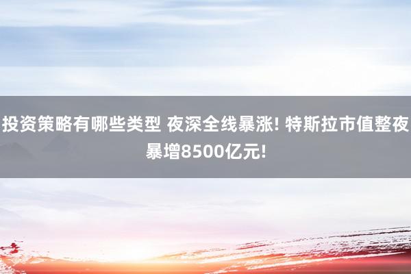 投资策略有哪些类型 夜深全线暴涨! 特斯拉市值整夜暴增8500亿元!