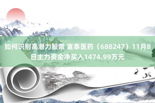 如何识别高潜力股票 宣泰医药（688247）11月8日主力资金净买入1474.99万元