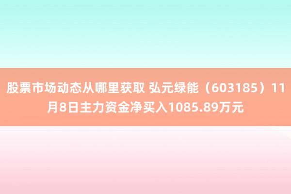 股票市场动态从哪里获取 弘元绿能（603185）11月8日主力资金净买入1085.89万元