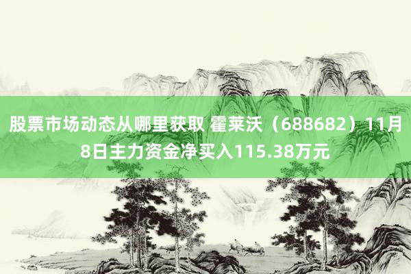 股票市场动态从哪里获取 霍莱沃（688682）11月8日主力资金净买入115.38万元