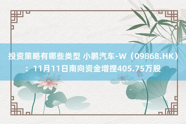 投资策略有哪些类型 小鹏汽车-W（09868.HK）：11月11日南向资金增捏405.75万股