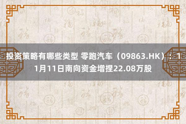 投资策略有哪些类型 零跑汽车（09863.HK）：11月11日南向资金增捏22.08万股