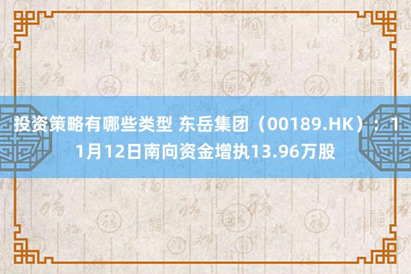 投资策略有哪些类型 东岳集团（00189.HK）：11月12日南向资金增执13.96万股