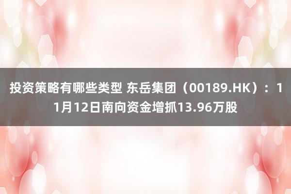 投资策略有哪些类型 东岳集团（00189.HK）：11月12日南向资金增抓13.96万股