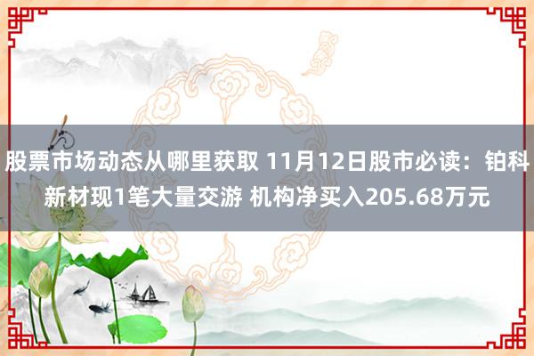 股票市场动态从哪里获取 11月12日股市必读：铂科新材现1笔大量交游 机构净买入205.68万元