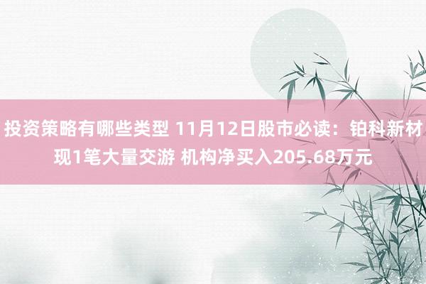 投资策略有哪些类型 11月12日股市必读：铂科新材现1笔大量交游 机构净买入205.68万元