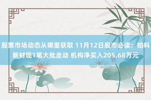 股票市场动态从哪里获取 11月12日股市必读：铂科新材现1笔大批走动 机构净买入205.68万元