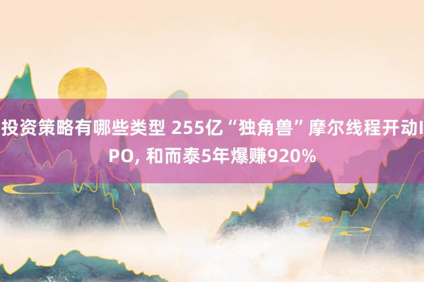 投资策略有哪些类型 255亿“独角兽”摩尔线程开动IPO, 和而泰5年爆赚920%