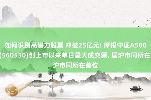 如何识别高潜力股票 冲破25亿元! 摩根中证A500ETF(560530)创上市以来单日最大成交额, 居沪市同所在首位