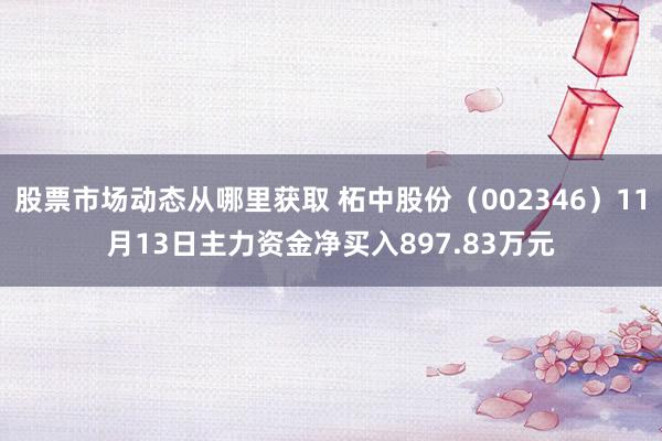 股票市场动态从哪里获取 柘中股份（002346）11月13日主力资金净买入897.83万元