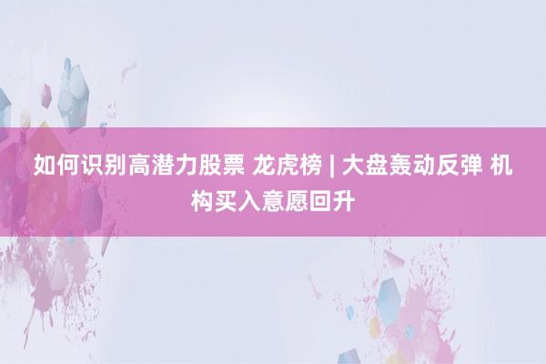 如何识别高潜力股票 龙虎榜 | 大盘轰动反弹 机构买入意愿回升