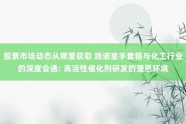 股票市场动态从哪里获取 践诺室手套箱与化工行业的深度会通: 高活性催化剂研发的理思环境