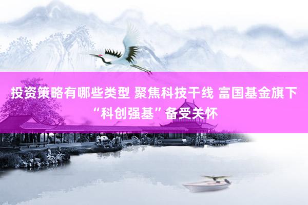 投资策略有哪些类型 聚焦科技干线 富国基金旗下“科创强基”备受关怀