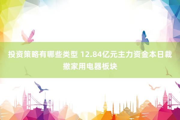 投资策略有哪些类型 12.84亿元主力资金本日裁撤家用电器板块