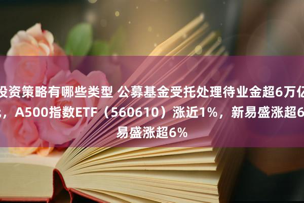 投资策略有哪些类型 公募基金受托处理待业金超6万亿元，A500指数ETF（560610）涨近1%，新易盛涨超6%