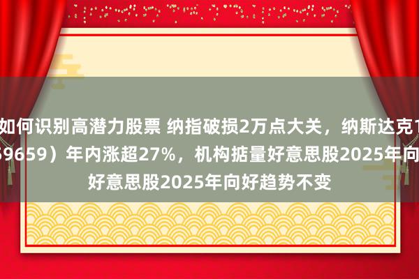 如何识别高潜力股票 纳指破损2万点大关，纳斯达克100ETF（159659）年内涨超27%，机构掂量好意思股2025年向好趋势不变