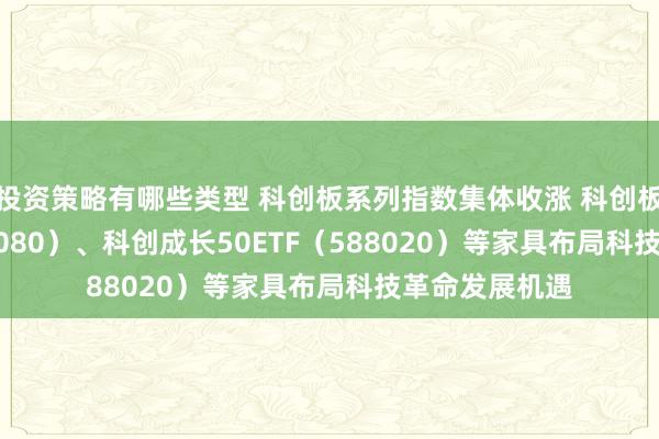 投资策略有哪些类型 科创板系列指数集体收涨 科创板50ETF（588080）、科创成长50ETF（588020）等家具布局科技革命发展机遇