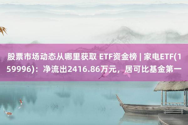 股票市场动态从哪里获取 ETF资金榜 | 家电ETF(159996)：净流出2416.86万元，居可比基金第一