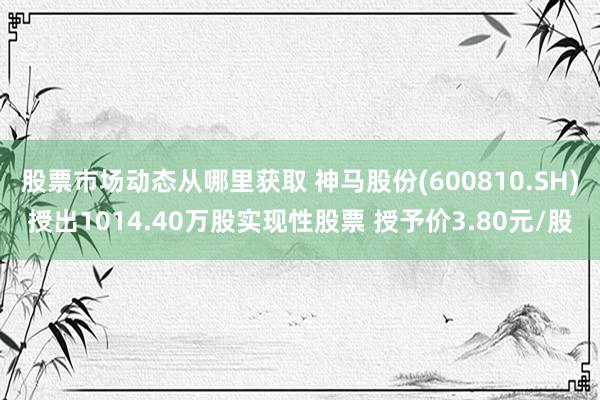 股票市场动态从哪里获取 神马股份(600810.SH)授出1014.40万股实现性股票 授予价3.80元/股