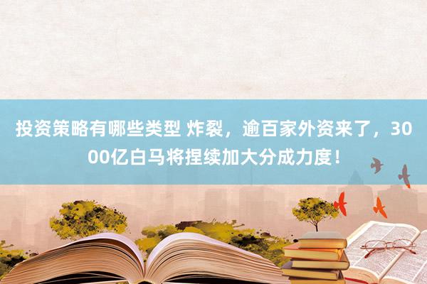 投资策略有哪些类型 炸裂，逾百家外资来了，3000亿白马将捏续加大分成力度！