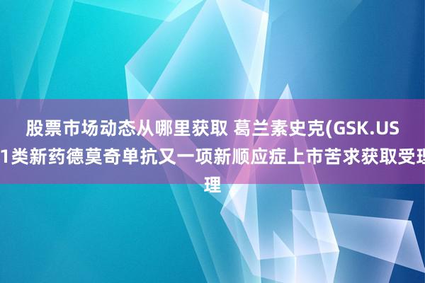 股票市场动态从哪里获取 葛兰素史克(GSK.US)1类新药德莫奇单抗又一项新顺应症上市苦求获取受理