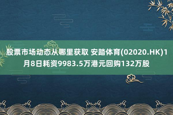 股票市场动态从哪里获取 安踏体育(02020.HK)1月8日耗资9983.5万港元回购132万股