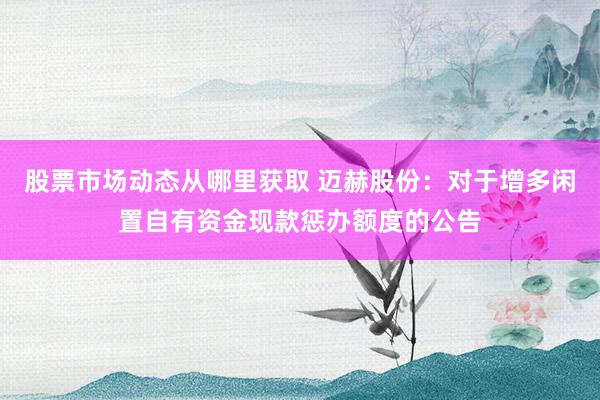 股票市场动态从哪里获取 迈赫股份：对于增多闲置自有资金现款惩办额度的公告