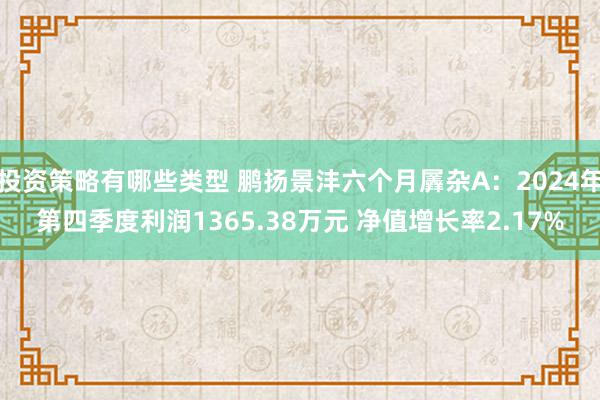 投资策略有哪些类型 鹏扬景沣六个月羼杂A：2024年第四季度利润1365.38万元 净值增长率2.17%