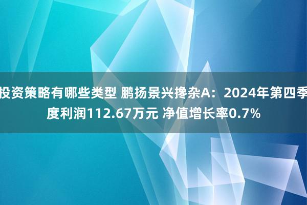 投资策略有哪些类型 鹏扬景兴搀杂A：2024年第四季度利润112.67万元 净值增长率0.7%