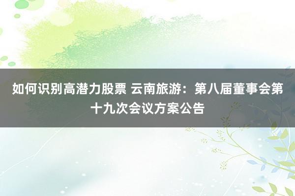 如何识别高潜力股票 云南旅游：第八届董事会第十九次会议方案公告