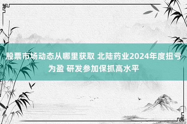 股票市场动态从哪里获取 北陆药业2024年度扭亏为盈 研发参加保抓高水平