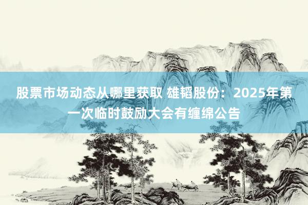 股票市场动态从哪里获取 雄韬股份：2025年第一次临时鼓励大会有缠绵公告