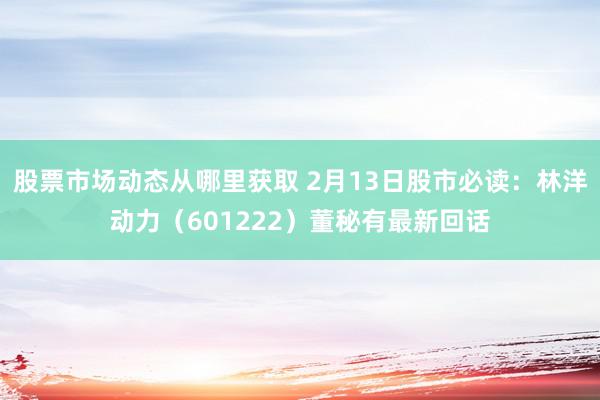 股票市场动态从哪里获取 2月13日股市必读：林洋动力（601222）董秘有最新回话