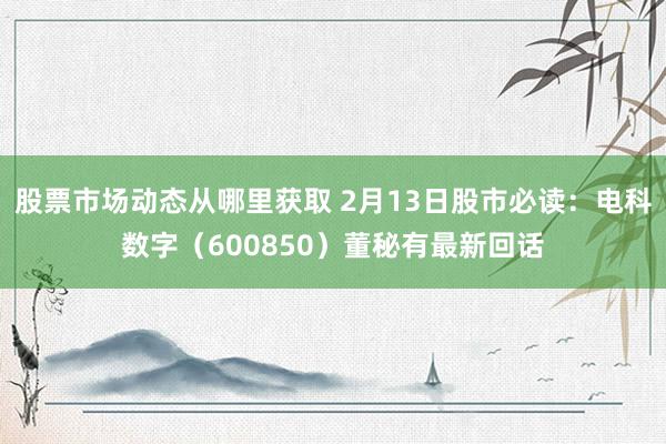 股票市场动态从哪里获取 2月13日股市必读：电科数字（600850）董秘有最新回话