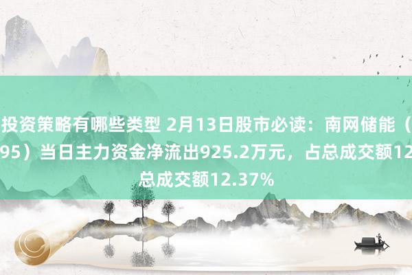 投资策略有哪些类型 2月13日股市必读：南网储能（600995）当日主力资金净流出925.2万元，占总成交额12.37%