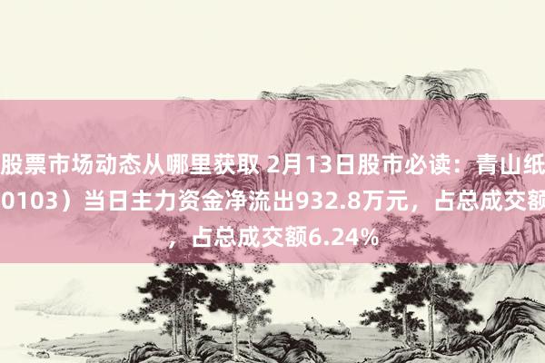 股票市场动态从哪里获取 2月13日股市必读：青山纸业（600103）当日主力资金净流出932.8万元，占总成交额6.24%