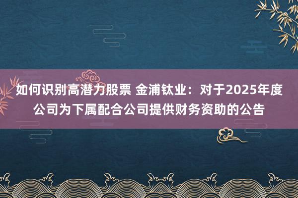 如何识别高潜力股票 金浦钛业：对于2025年度公司为下属配合公司提供财务资助的公告