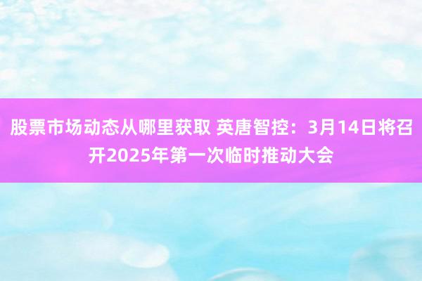 股票市场动态从哪里获取 英唐智控：3月14日将召开2025年第一次临时推动大会