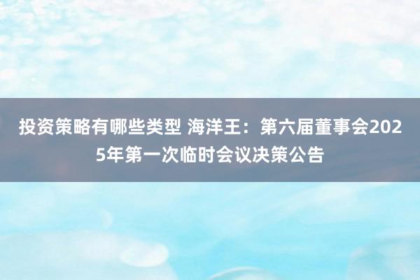 投资策略有哪些类型 海洋王：第六届董事会2025年第一次临时会议决策公告