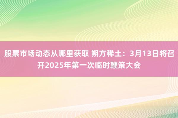 股票市场动态从哪里获取 朔方稀土：3月13日将召开2025年第一次临时鞭策大会